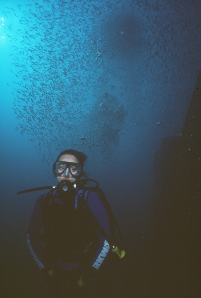 Blue water and schooling baitfish at a tugboat wreck off Pensacola, Florida