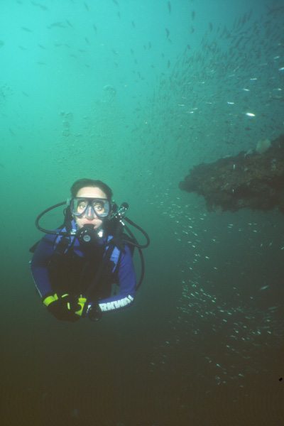 Diver and baitfish on "Three Barges" Pensacola, Florida